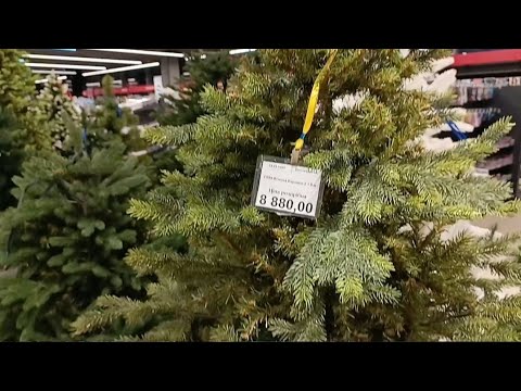Видео: Новогодний шоппинг 📜🎄 обзор на ёлки📜влог📮