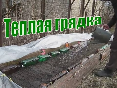 Видео: Теплая грядка весной для рассады (укр.)
