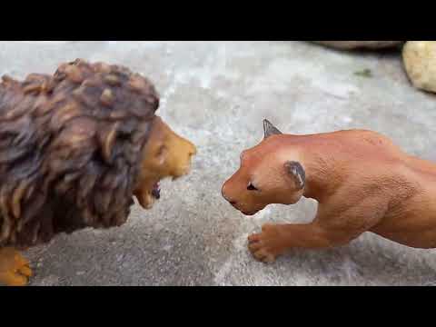 Видео: Львиный прайд 1 сезон 4 серия🦁