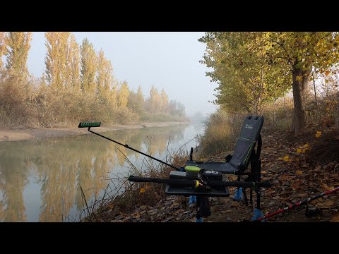 Видео: БАЛИК ОВИ. МАРИНКА, ЧУБАК ВА ВЮН  БАЛИК ОВИ. ФИДЕРНАЯ РЫБАЛКА В УЗБЕКИСТАНЕ НА РЕЧНУЮ МАРИНКУ.
