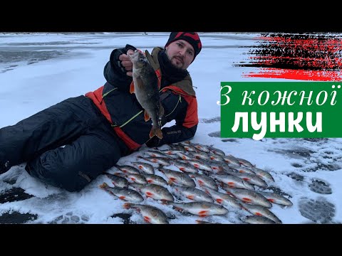 Видео: ОКУНЬ КЛЮВАВ як з КУЛЕМЕТА Наловили купу окунів на безмотилку риболовля 2023