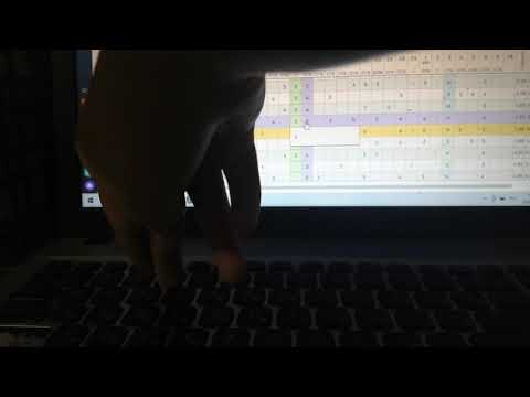 Видео: Заполнение эл жур