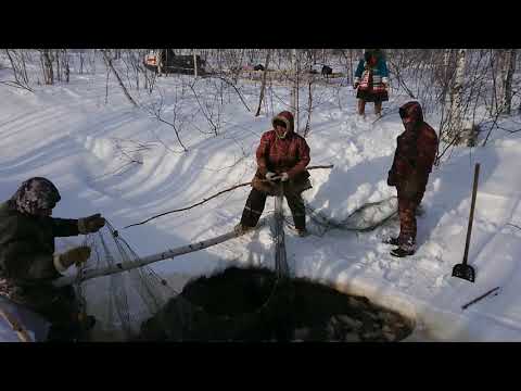 Видео: Древний способ рыбалки. Способ называется Ботать неводом.
