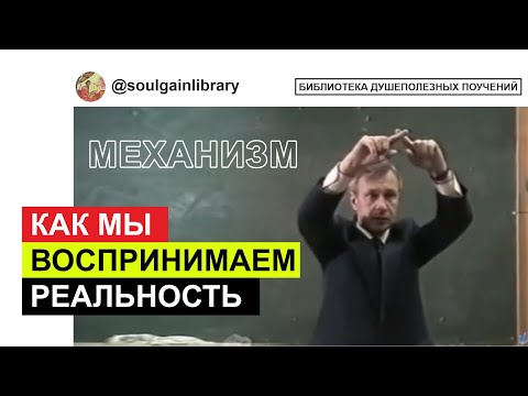 Видео: Как мы воспринимаем реальность.