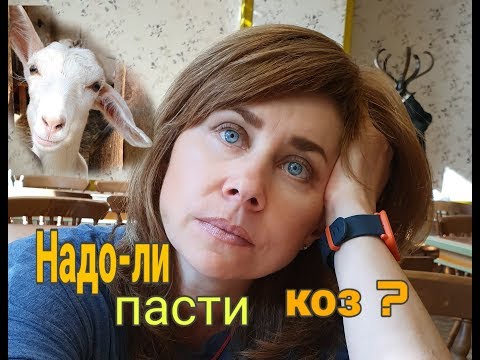 Видео: Безвыпасное содердание коз//Возможно!?