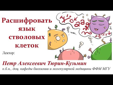 Видео: П.А. Тюрин-Кузьмин - Расшифровать язык стволовых клеток