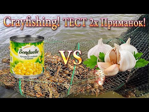 Видео: Рак! Ловля Раков! Кукуруза против Чеснока! Тест 2х Приманок: