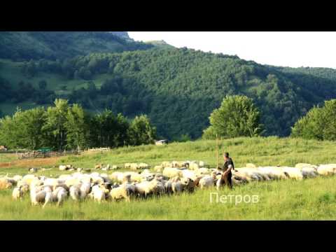 Видео: Българска народна песен Овчар съм девет години изп  Станчо Стоилов