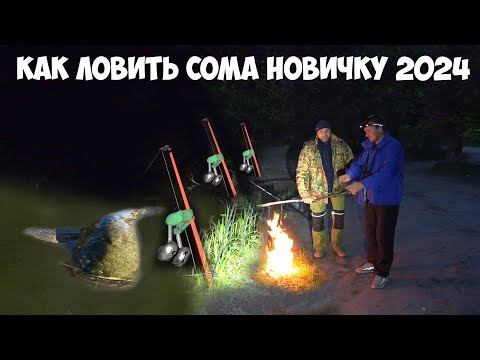 Видео: КАК ЛОВИТЬ СОМА НОВИЧКУ!!! РЫБАЛКА на СОМА ЛЕТОМ ДОНКОЙ с БЕРЕГА