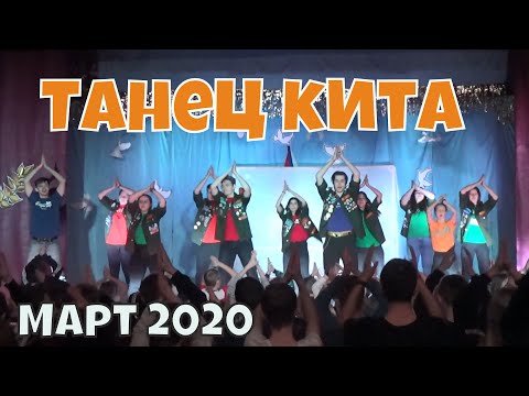 Видео: Танец кита | Вожатые ДОЛ "Голубое озеро"