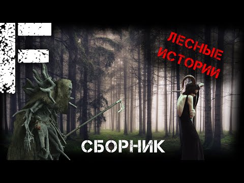 Видео: ЛЕСНЫЕ ИСТОРИИ! Страшные Истории!