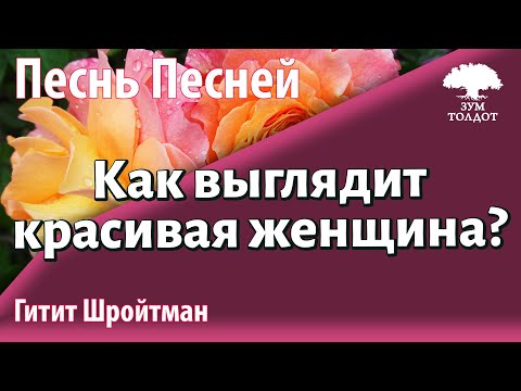 Видео: Урок для женщин. Как выглядит красивая женщина? Гитит Шройтман