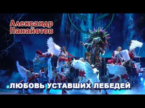 Видео: Александр Панайотов (Вождь) - Любовь уставших лебедей