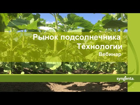 Видео: Вебинар: Рынок подсолнечника РФ, ЕС, СНГ. Технологии возделывания, посевные площади, урожайность