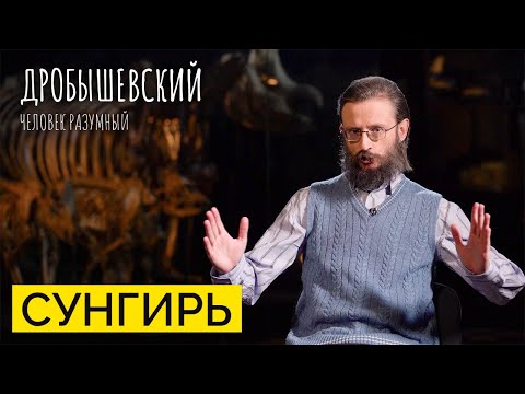 Видео: Богатая могила в каменном веке: как открыли стоянку Сунгирь // Дробышевский. Человек разумный