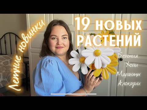 Видео: ОБЗОР новых РАСТЕНИЙ | мои ЛЕТНИЕ НОВИНКИ | алоказии | хойи | бегонии |