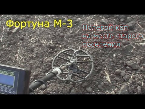 Видео: Фортуна м 3 ПОЛЕВОЙ КОП НА МЕСТЕ СТАРОГО ПОСЕЛЕНИЯ. №41