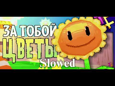 Видео: Я не вижу причин (slowed)