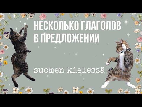 Видео: Глагол +