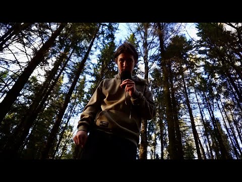 Видео: АСМР МУРАШКИ В ЛЕСУ