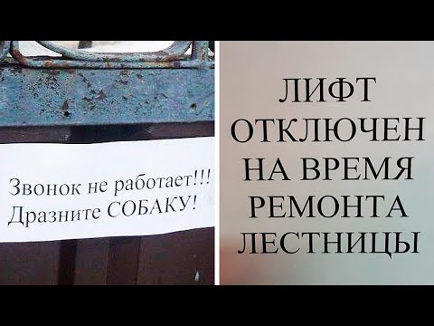 Видео: Странные объявления, вводящие в ступор