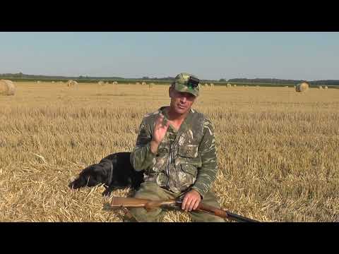 Видео: Открытие охоты на уток 2025!!!