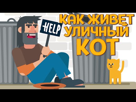 Видео: КАК ЖИВЕТ УЛИЧНЫЙ КОТ ( A Street Cat's Tale )