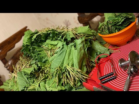 Видео: Խաղողի տերեւի պահածո Виноградные листья на зиму по рецепту мамы