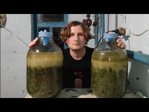 Видео: Виноградное вино максимально простой и подробный рецепт 