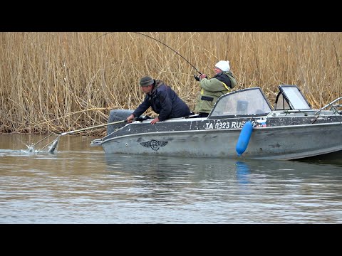 Видео: РЫБАКИ ДУМАЛИ ТАК НЕ БЫВАЕТ И БЫЛИ УДИВЛЕНЫ! Такое ВООБЩЕ ВОЗМОЖНО!? Рыбалка весной на спиннинг!