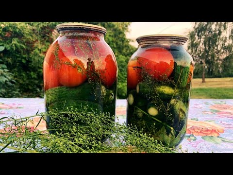 Видео: ЗАКРЫВАЮ ТАК КАЖДЫЙ ГОД/АССОРТИ ИЗ ПОМИДОРОВ И ОГУРЦОВ БЕЗ УКСУСА НА ЗИМУ!!!