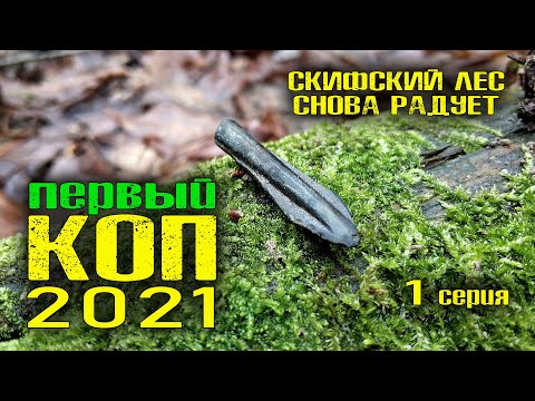 Видео: НЕРЕАЛЬНЫЙ ПЕРВЫЙ КОП 2021. СКИФСКИЙ ЛЕС РАДУЕТ НАХОДКАМИ. КОП с Квазар АРМ