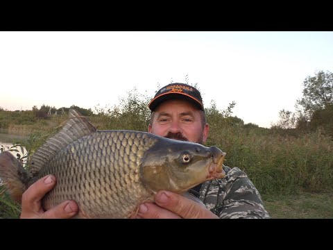 Видео: РЫБАЛКА С НОЧЕВОЙ. Часть 2. Подлещики и карп.