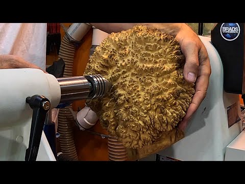 Видео: Точение по дереву — УДИВИТЕЛЬНЫЙ кап красного мэлли