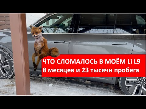 Видео: Что сломалось в моём #li  за 23 тысячи и 8 месяцев, а что меня бесит!?