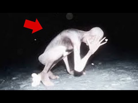 Видео: 25 НЕИЗВЕСТНЫХ СУЩЕСТВ СНЯТЫХ НА КАМЕРУ