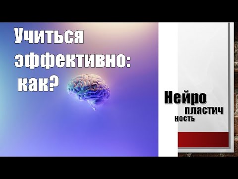 Видео: Нейропластичность и английский: как учиться эффективно?