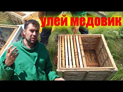 Видео: Пчёлы на главном взятке. Как подготовить пасеку. Делаем семью медовик