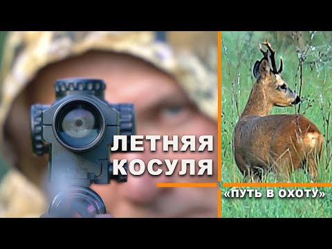 Видео: Охота на косулю. Тамбовская область.