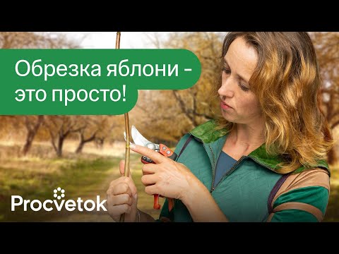 Видео: КАК ОБРЕЗАТЬ ЯБЛОНЮ ВЕСНОЙ? Детальная обрезка, которая будет понятна каждому!