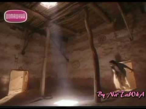 Видео: История любви,которая потрясла мир...