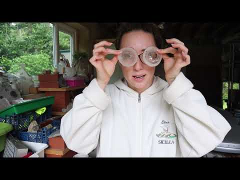 Видео: Всё о Paraloid B72 — Методы подготовки окаменелостей