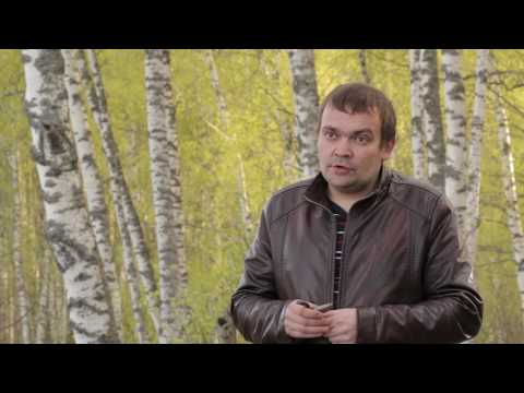 Видео: Веретеница ломкая, таинственная рептилия леса.