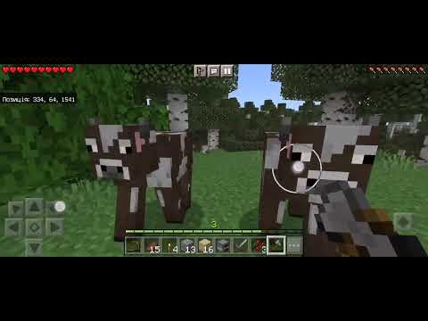 Видео: Виживання в Minecraft #2