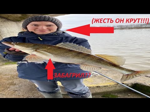 Видео: Нижняя Москва-река #5 - ТРОФЕЙНЫЙ СУДАК!