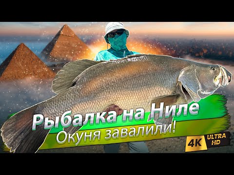 Видео: 🇪🇬 Нильский окунь на озере Насер. Джиггинг в заливе Акаба