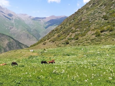 Видео: 5 Бишкек, Ала Арча. Киргизия.