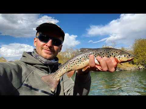Видео: Рыбалка. Форель в горах Кыргызстана. Сусамыр.