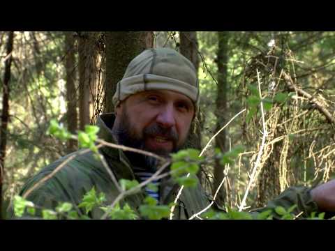 Видео: Ориентирование в лесу с помощью компаса.