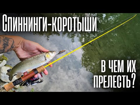 Видео: Почему я ловлю КОРОТЫШАМИ? Спиннинги-обрубки